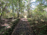 �~�n�ɐڂ��铹�H