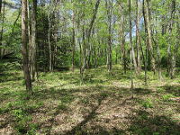 �~�n�̗l�q-�V��-