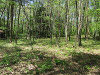 �~�n�̗l�q-�V��-