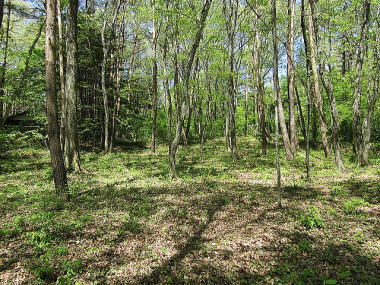 �΂ɕ�܂�ĉ߂����܂��B