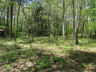 �Ǖ��h��1000m�ѓ��̃A�N�Z�X�ǂ�