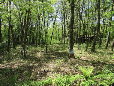 �΂Ɉ͂܂ꂽ���֐��̗ǂ��~�n�B