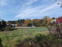 �y�n����̍g�t