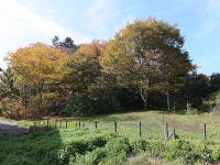 �y�n����̍g�t