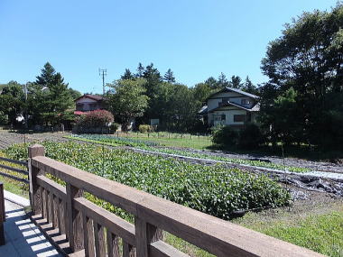 ���哹���y�n�������l�q