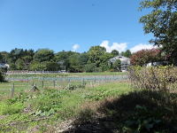 �y�n���̌i�F