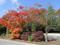 �򓴎��̍g�t