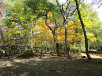 ��Ԑ_�Ђ̍g�t