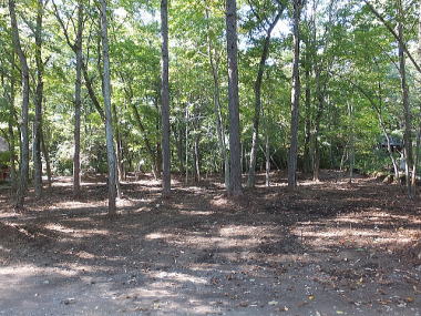 ���֐��̗ǂ��΂Ɉ͂܂ꂽ�~�n