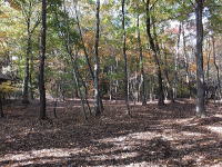 �H�̓y�n�̗l�q