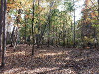 �H�̓y�n�̗l�q