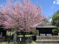 �Ǖ��h���D��-��