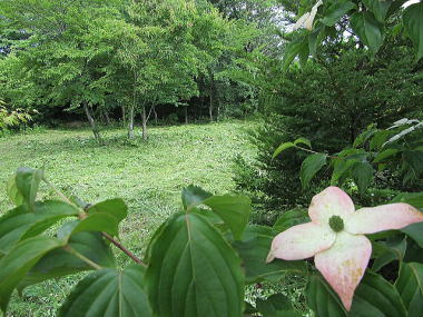 ���}�{�E�V�ƕ~�n