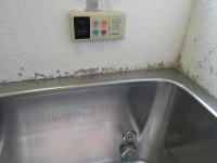 �����C�̒ǂ����������R��