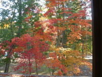 2F����-�����������܂�-