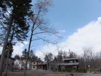 �t�̕~�n-���Ԃ��̉Ԃ��炢�Ă��܂�-