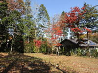 �~�n�̗l�q-�g�t