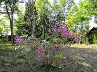 �~�n-�V�΁��c�c�W-