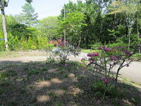 �~�n-�V�΁��A�v���[�`-