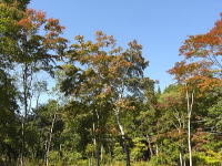 �H�̕~�n�̍g�t