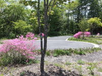 �~�n���N���h�T�b�N