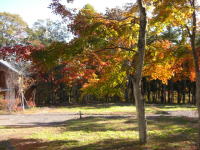 �H�̕~�n�̗l�q