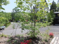 ���ւ��̌i�F