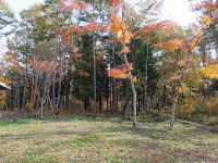 �H�̓y�n�̗l�q