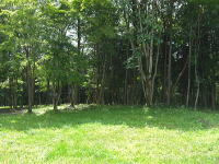 �����-�~�n����̗l�q