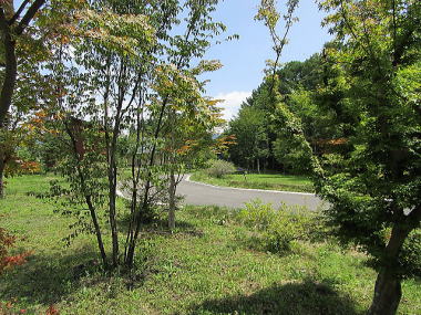 ���ӂƖؗ����Y��ȋ��