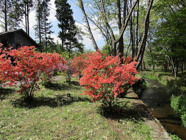 �����u���B���b�W�R�����X�y�[�X-�I�[�i�[�l�̏W���E�x�e��!