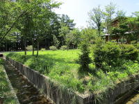 �~�n�e�̐��H