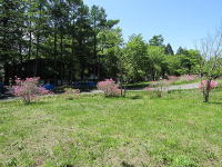 �~�n���̌i�F