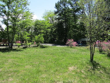 �����u���B���b�WD���-�V��-