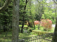 �~�n��萅�H�ƃR�����X�y�[�X�������܂�!