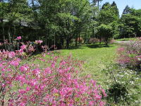 �~�n���R�����X�y�[�X����