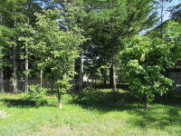 �}���I�b�g�z�e�����Y��Ȏ،i��!