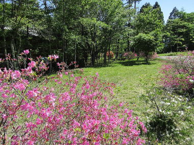 �~�n���R�����X�y�[�X-�߂����������c�c�W���Y��-