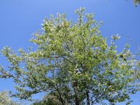 �E���~�Y�U�N��