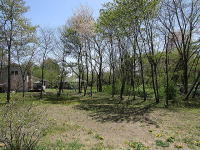 �V�΁����炭�l�q