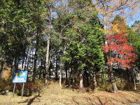 �~�n�̗l�q-�H-