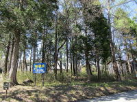 �~�n�̗l�q-�V��-