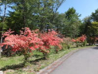 �R�����X�y�[�X�̃c�c�W