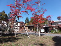 �H�̍g�t-���݂�-