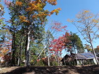 �~�n�̗l�q-�H�̍g�t-