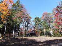 �~�n�̗l�q-�H�̍g�t-