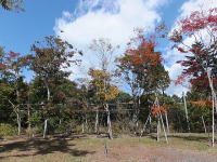 �H�̕~�n�̍g�t