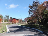 �����u���B���b�W2��