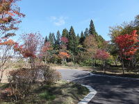 �~�n����̍g�t