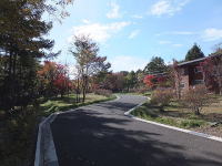 �~�n����̍g�t